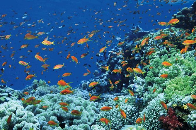 12 Day Exquisite Egypt - Cairo & Nile Cruise & Red Sea Flights & Hotels Included - Who Should Book This Egypt Tour?