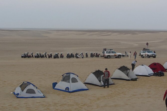 2 Day Bahariya Oasis White Desert Tour - What the $320 price really covers