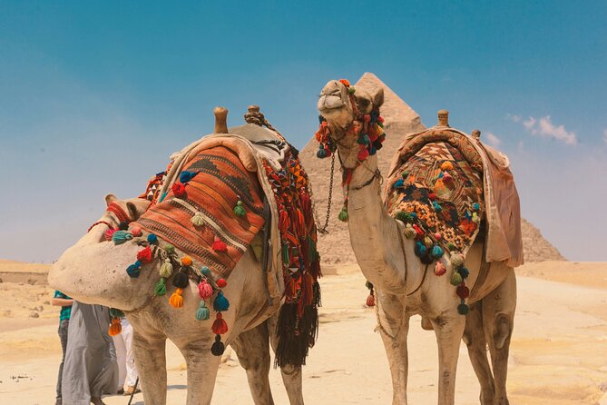 2 Day Pyramid, Sakkara, Memphis, Museum, and Citadel Private Tour - Giza’s Pyramids and the Great Sphinx
