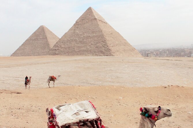 2 Day Pyramid, Sakkara, Memphis, Museum, and Citadel Private Tour - Who Will Get the Most From This Tour?