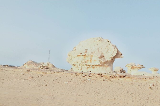2-Day Shared Tour in White Desert from Cairo - Black Desert and Al-Marsous Mountain