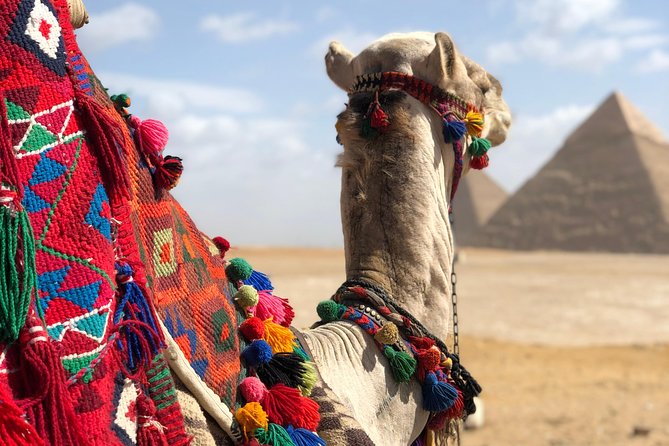 2 days cairo and giza attractions plus Gem, private tour - The Grand Egyptian Museum deserves more than two hours