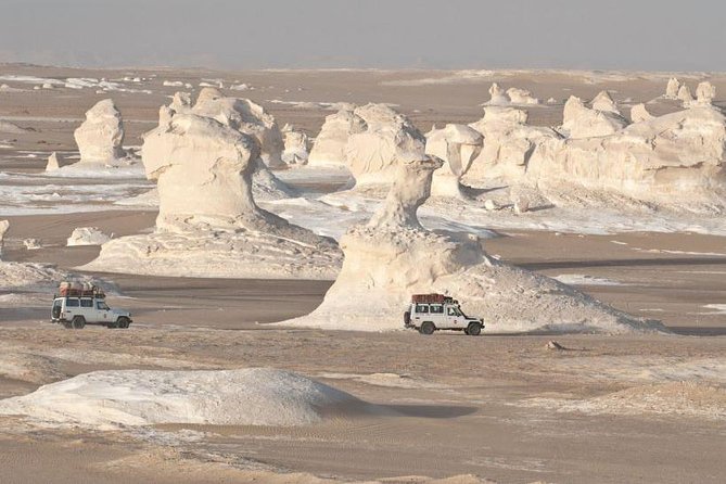 2 Days White Desert and Bahariya Oasis Tour - Why the White Desert is worth the long ride