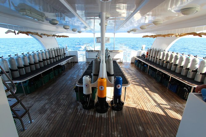 2-Dive adventure-Safe & Top-rated boat for Certified Divers - Lunch, shade, and the long surface interval