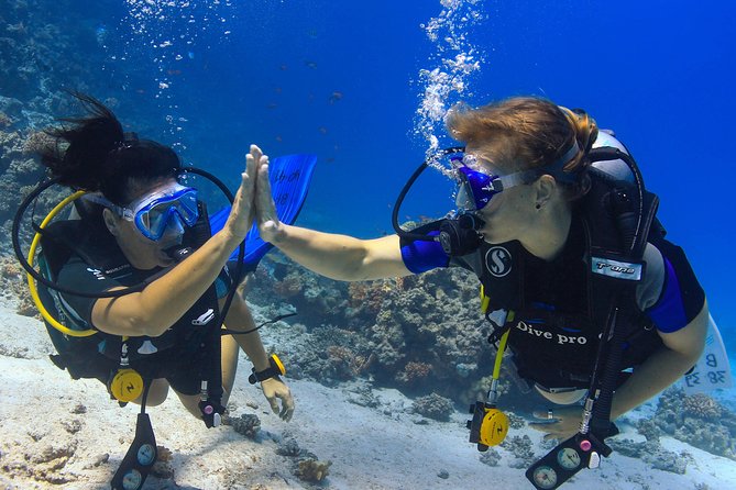 2-Dive adventure-Safe & Top-rated boat for Certified Divers - How the small-group system helps