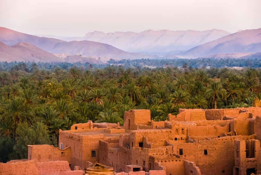 2 Nights 3 Days at Siwa Oases camp from Cairo - Salt lakes and springs: Siwa’s most memorable water stops
