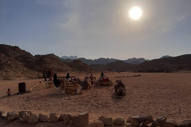 3 Hours Safari by Quad Bike - Hurghada - Crossing the sand on the main ATV route