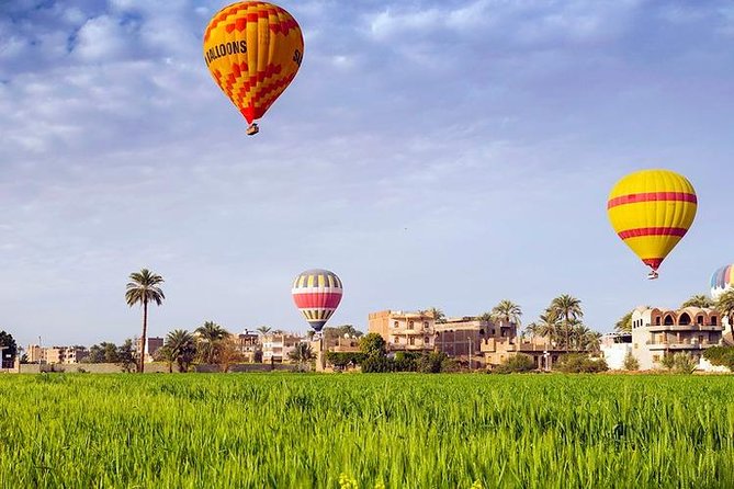 3 Nights Cruise Aswan to Luxor including Abu Simbel, Nubian Village&Air Balloon - Day three: Edfu by horse carriage and Luxor Temple at dusk
