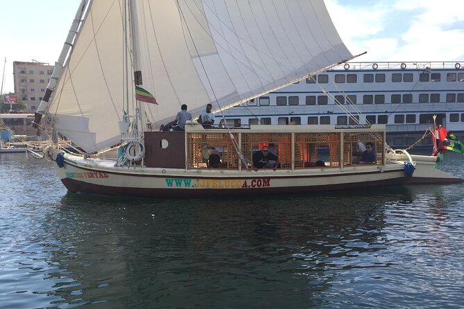 3 or 2 or 1 Nights Mighty Nile Felucca Adventure - Day 2: Daraw market, camel trading, and Kom Ombo