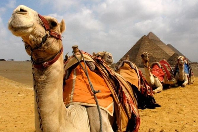 6 Hours visit to Giza pyramids sphinx and Sakkara - Why this six-hour route works