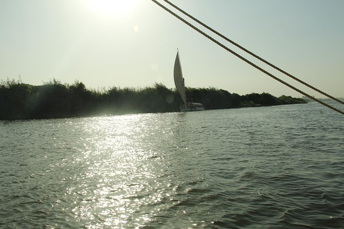 7 Days Egypt Tour Package to Cairo and Nile Cruise - Day 4: Edfu and a slower view of the Nile