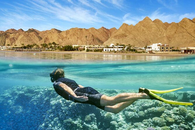 8 Day Cairo Pyramids and Nile cruise and Alexandria All inclusive Private Tour - Flying south to Aswan and boarding the Nile cruise