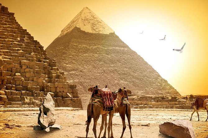 8-Day Private Tour Cairo, Aswan, Luxor and Nile Cruise Including Air Fare - How private is the experience?