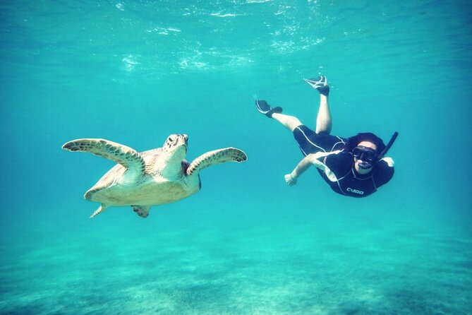 Abu Dabbab Beach Full Day Trip with Turtles - Time to relax between the two swims