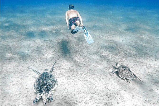 Abu Dabbab Beach Full Day Trip with Turtles - The second snorkel at the coral reef