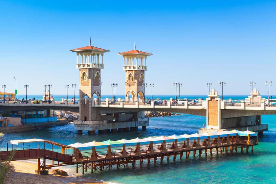 Alexandria: Library, Amphitheater & Citadel Tour - Guide quality and communication concerns