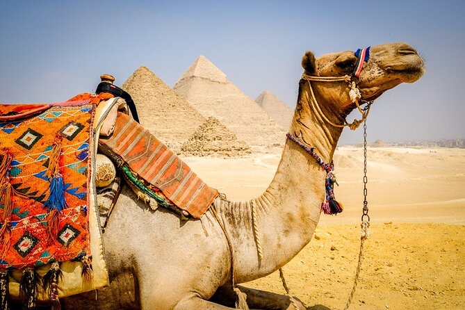All INC- Pyramids,Camel Ride،(1 hour) four wheeler (ATV)& Lunch - One hour on an ATV in the desert behind Giza