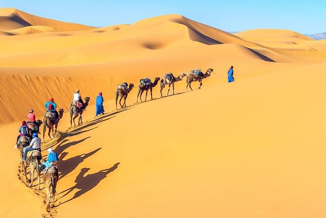 All Inclusive Day Tour To Cairo from Alexandria Port - The road from Alexandria to Giza
