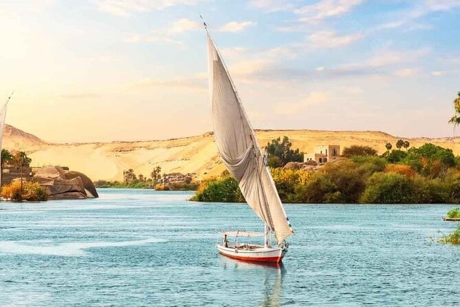 All Inclusive Day Tour To Cairo from Alexandria Port - Lunch and the practical details