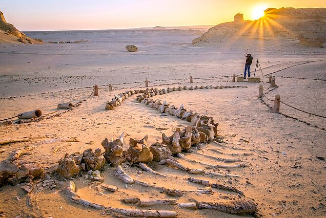Allinclusive Private Tour Fayoum Oasis & Valley of Wales - Why Fayoum makes a good break from Cairo