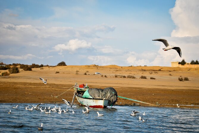 Allinclusive Private Tour Fayoum Oasis & Valley of Wales - Wadi El-Rayan waterfalls and the lake below