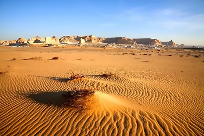 Allinclusive Private Tour Fayoum Oasis & Valley of Wales - Lunch beside the water