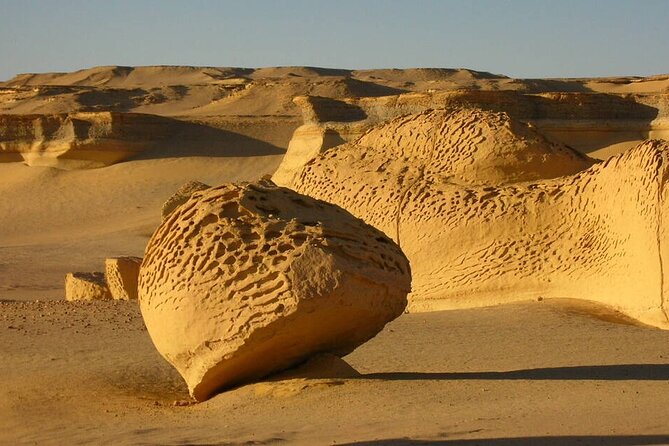 Allinclusive Private Tour Fayoum Oasis & Valley of Wales - Guides, language, and private touring