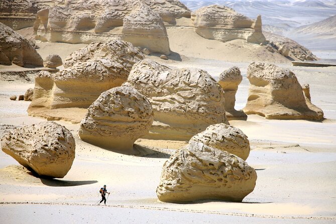 Allinclusive Private Tour Fayoum Oasis & Valley of Wales - 4x4 dunes and sandboarding