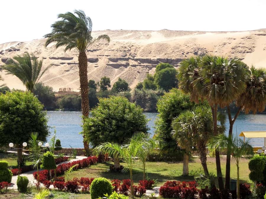 Aswan: Private All-inclusive Guided Tour of Aswan Highlights - Lunch and the value of an all-inclusive price