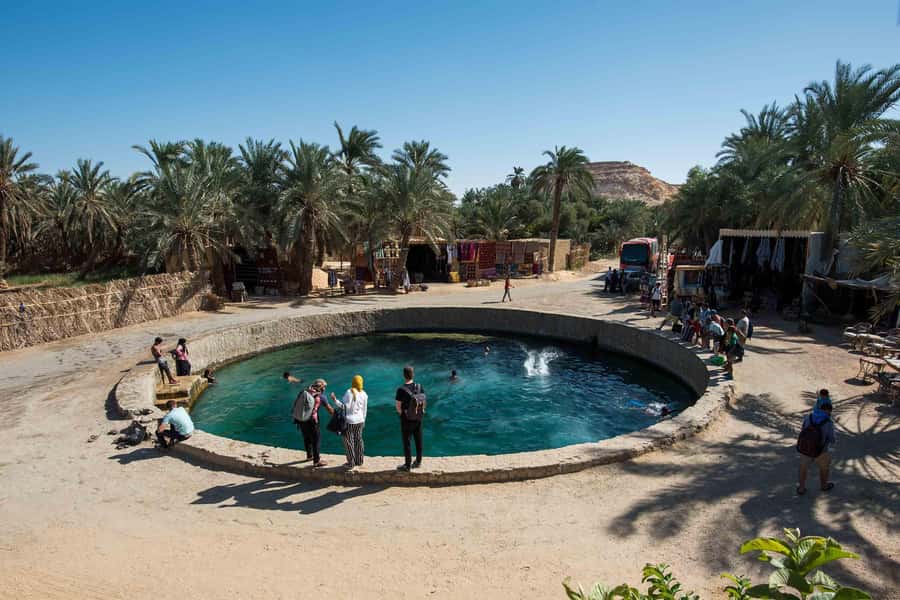 Cairo: 3-Day Siwa Oasis Tour, Safari, Camp & Historical Site - Why Siwa is worth the long road from Cairo