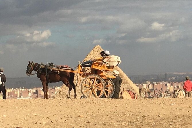 Cairo 8 Hour Private Tour of Pyramids, Egyptian Museum and Bazaar - Who should book this tour?