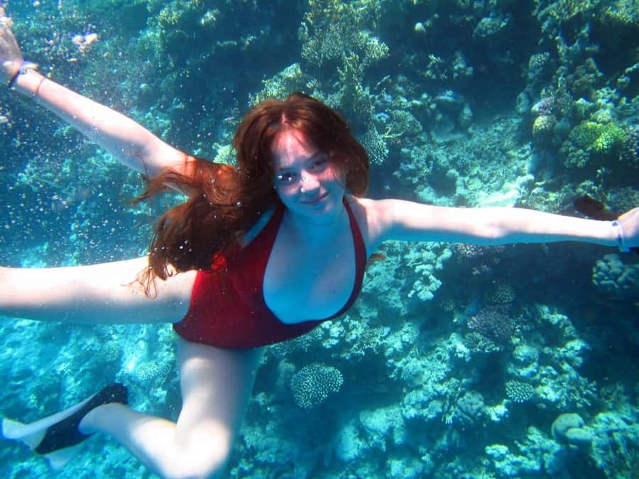 Cairo: Ain Sokhna Snorkeling cruise & optional transfer - Key points to know before you book