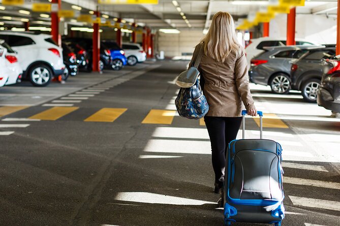 Cairo Airport Arrival or departure transfer in Private Van - The private van ride to Cairo or Giza