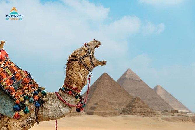 Cairo and Nile Cruise Tour - What this eight-day Egypt trip actually feels like