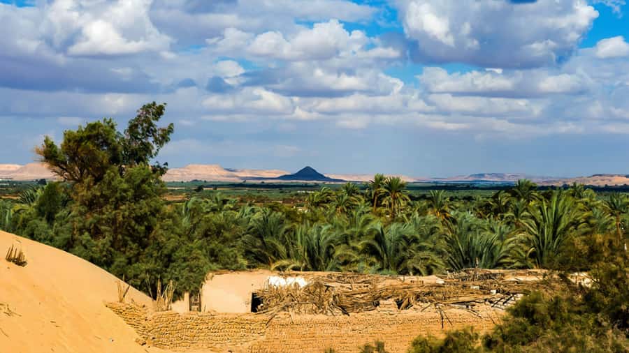 Cairo: Bahariya Oasis & White Desert 3-Day Private Adventure - El Hez Village and its cold spring