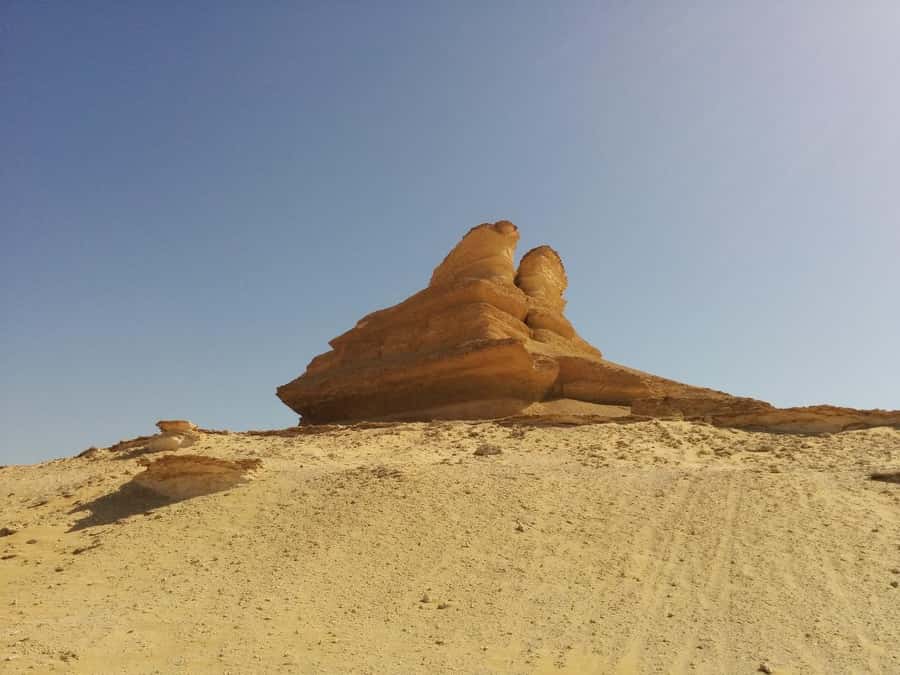 Cairo: Bahariya Oasis & White Desert A Private Day Adventure - The return to Cairo and the real cost of a one-day desert trip