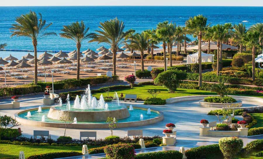 Cairo: Day Tour to the Red Sea with Lunch - Why this makes sense after Cairo sightseeing