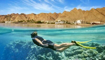 Day Tour to the Red Sea with Lunch