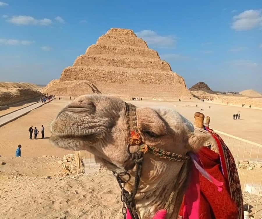 Cairo: Djoser, Bent Pyramid & Memphis Day Trip - Starting in Cairo and driving south