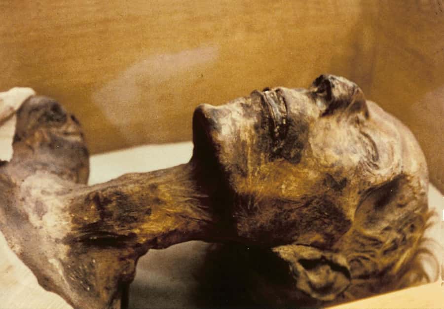 Cairo: Egyptian Museum 4-Hour Private Tour with Transfer - The royal mummies and the need to ask questions