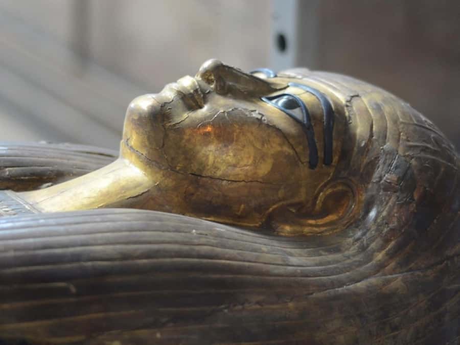 Cairo: Egyptian Museum, Citadel, and Old Cairo Guided Tour - Saladin’s Citadel and the Muhammad Ali Mosque