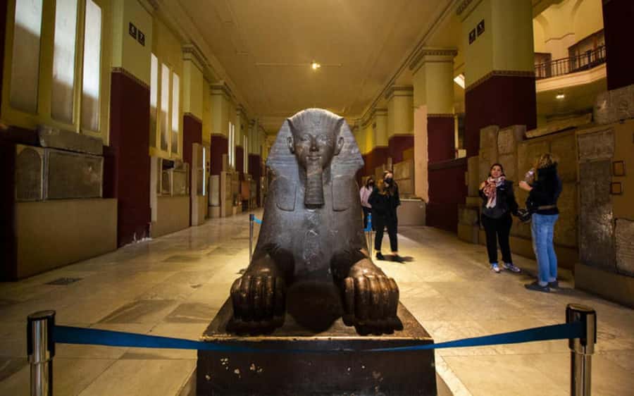 Cairo: Egyptian Museum Private Half Day Guided Tour - Booking, cancellation, and practical details