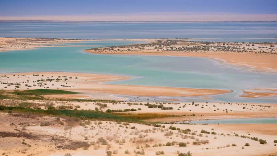 Cairo: Fayoum, Wadi El Rayan, and Wadi al Hitan 4x4 Tour - Key points to know before booking