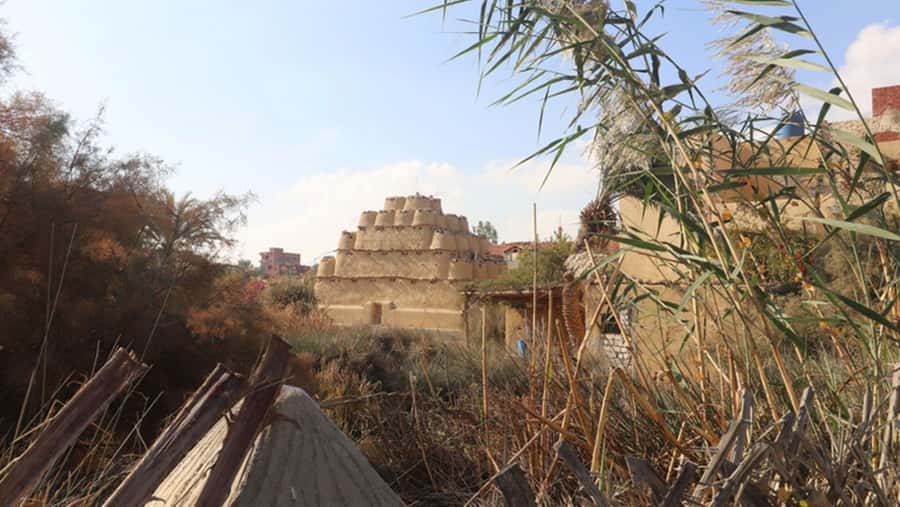 Cairo: Fayoum, Wadi El Rayan, and Wadi al Hitan 4x4 Tour - Shared or private: which option fits you?