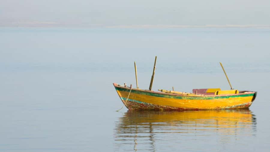 Cairo: Fayoum, Wadi El Rayan, and Wadi al Hitan 4x4 Tour - Optional cultural stops for a longer Fayoum day