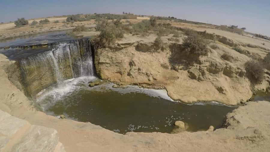 Cairo: Fayoum, Wadi El Rayan, and Wadi al Hitan 4x4 Tour - The ride from Cairo to Tunis Village