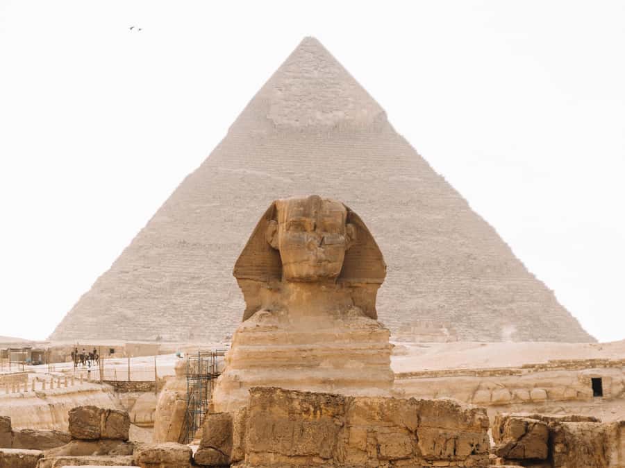 Cairo: Giza Great Pyramids Tour with Sightseeing Options - Tutankhamun and the Egyptian Museum
