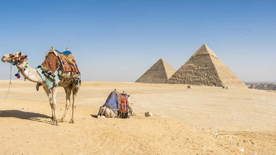 Cairo: Giza Pyramids, Memphis, Saqqara Private Tour & Lunch - Key points at a glance
