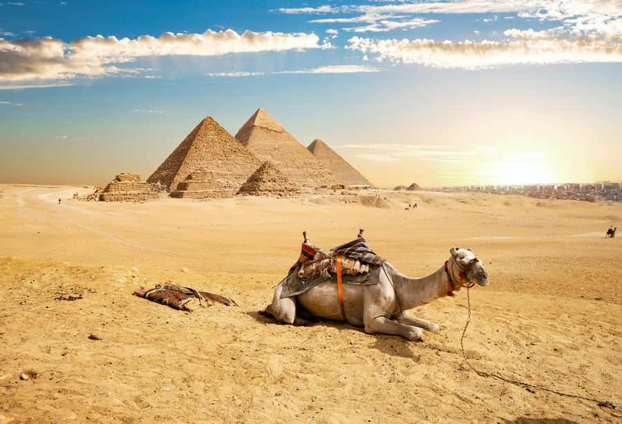 Cairo: Giza Pyramids, Memphis, Saqqara Private Tour & Lunch - A local lunch to finish the day