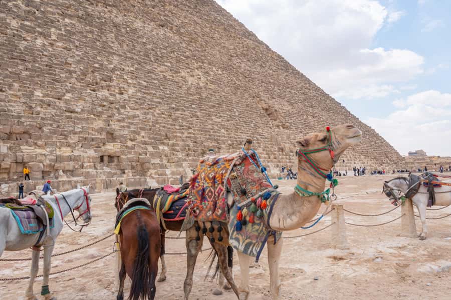 Cairo: Giza Pyramids, Museum & Tahrir Square Private Tour. - Egyptian Museum: 5,000 years under one roof